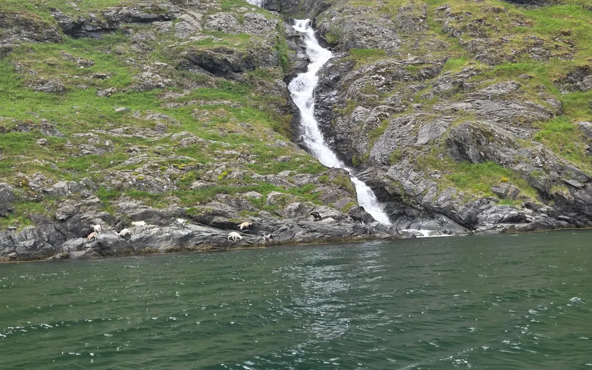 Waterfalls coming down the rock walls of the Aurlandsfjord