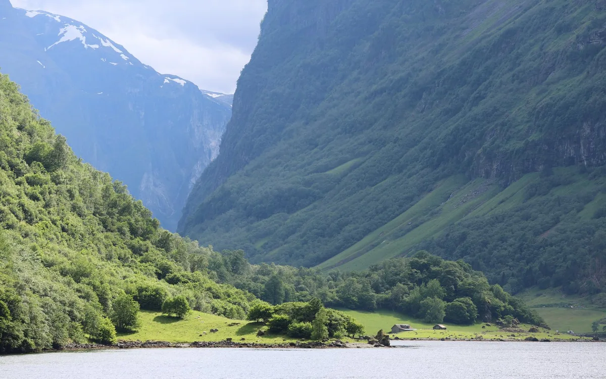 The green Fl&aring;m Railway train on the mountain line above the fjord valley