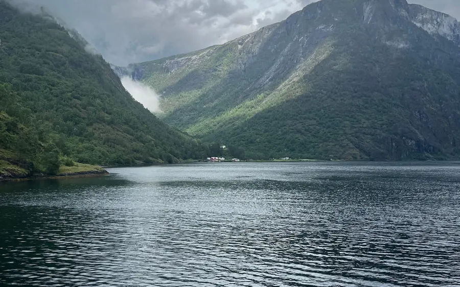 A Flåm Railway train on the mountain line above the fjord